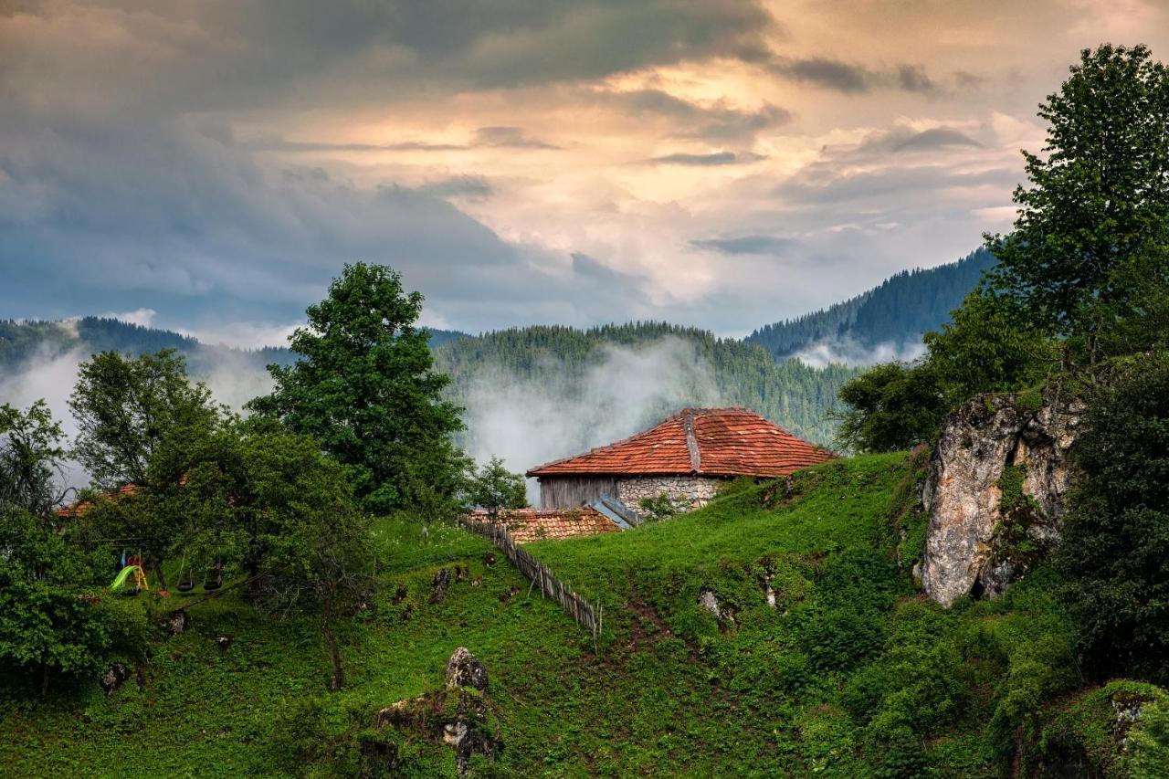 Guest House Panorama جيلا المظهر الخارجي الصورة