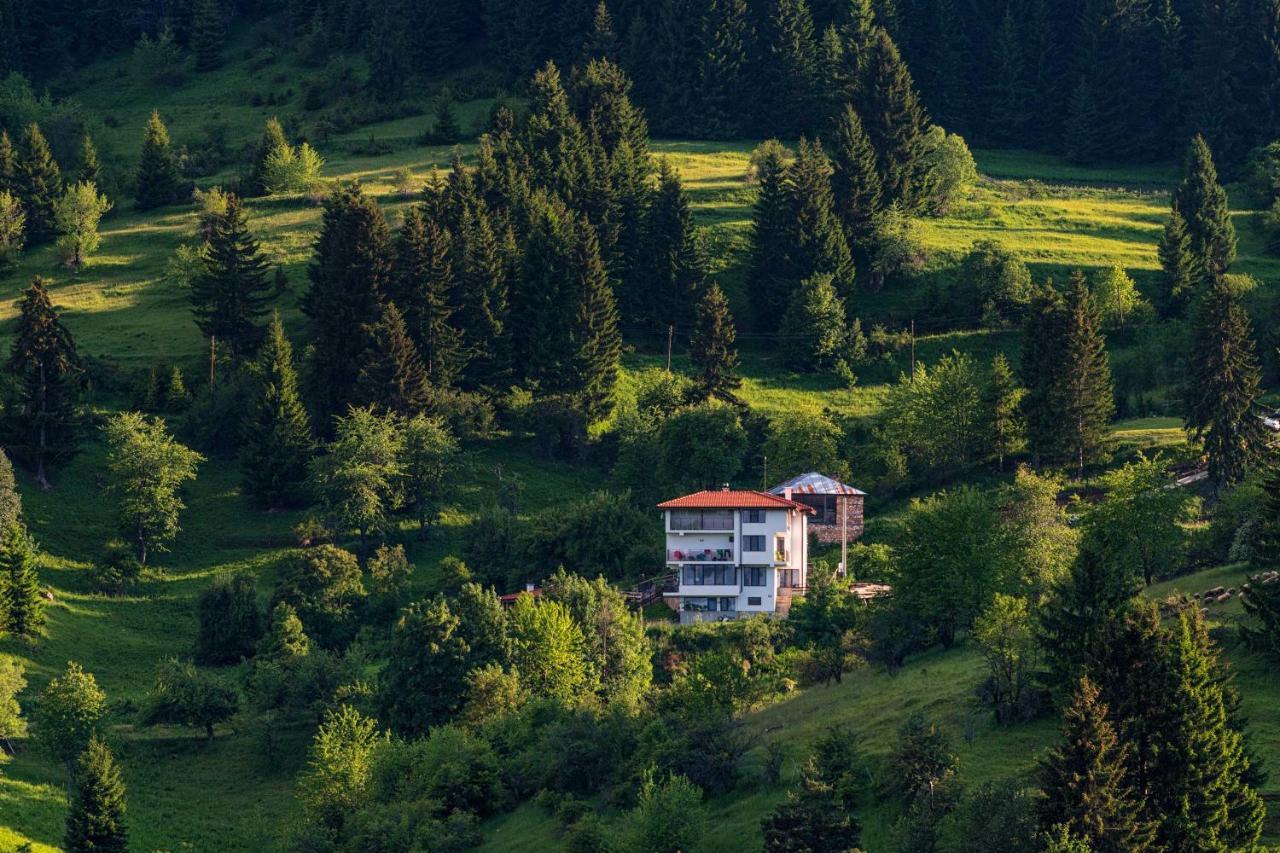 Guest House Panorama جيلا المظهر الخارجي الصورة