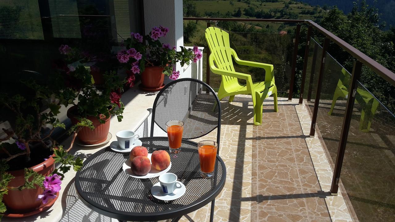 Guest House Panorama جيلا المظهر الخارجي الصورة