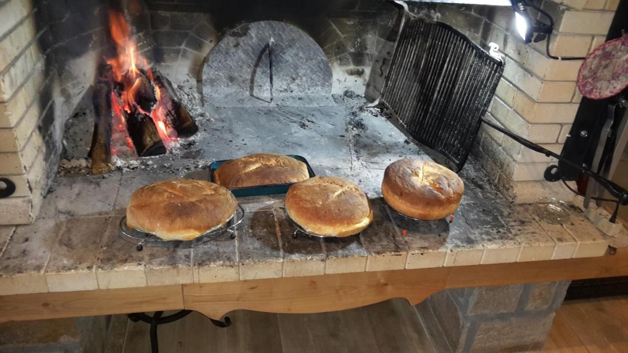 Guest House Panorama جيلا المظهر الخارجي الصورة
