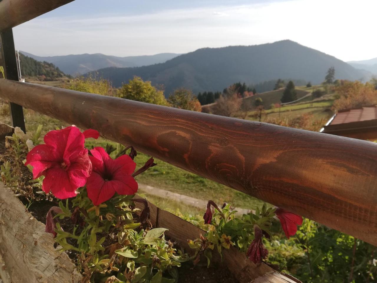 Guest House Panorama جيلا المظهر الخارجي الصورة