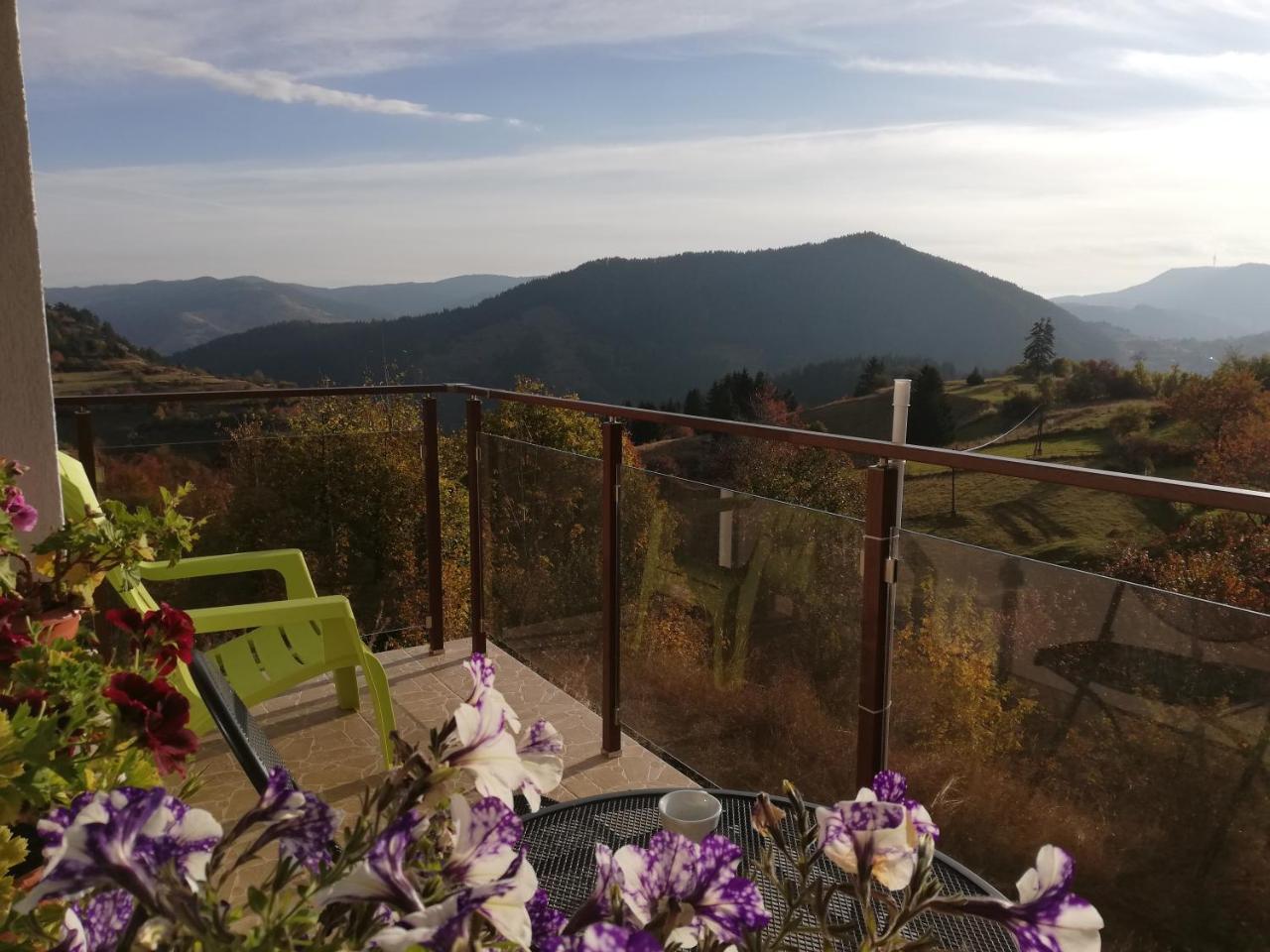 Guest House Panorama جيلا المظهر الخارجي الصورة